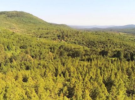 16397 Indiana Ranch Rd, Dobbins, CA 95935 Photo