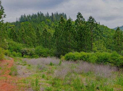 16397 Indiana Ranch Rd, Dobbins, CA 95935 Photo