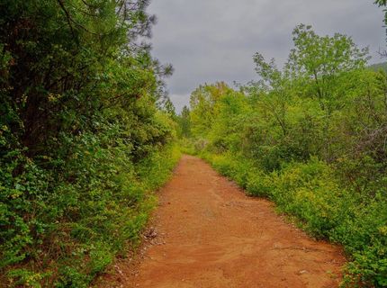 16397 Indiana Ranch Rd, Dobbins, CA 95935 Photo