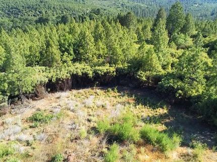 16397 Indiana Ranch Rd, Dobbins, CA 95935 Photo