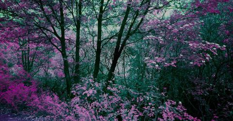 16397 Indiana Ranch Rd, Dobbins, CA 95935 Photo