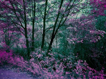 16397 Indiana Ranch Rd, Dobbins, CA 95935 Photo