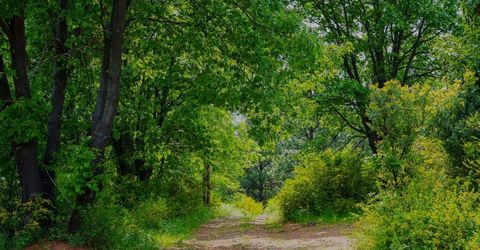 16397 Indiana Ranch Rd, Dobbins, CA 95935 Photo