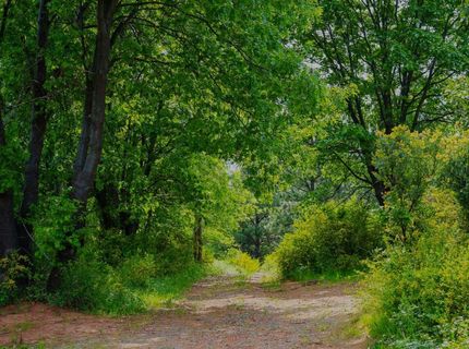 16397 Indiana Ranch Rd, Dobbins, CA 95935 Photo