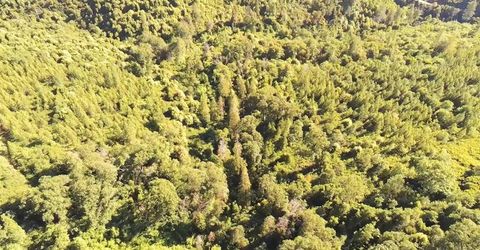 16397 Indiana Ranch Rd, Dobbins, CA 95935 Photo