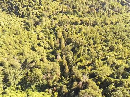 16397 Indiana Ranch Rd, Dobbins, CA 95935 Photo