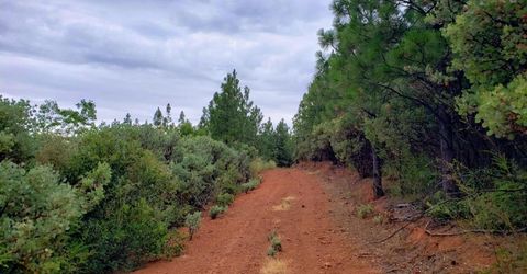 16397 Indiana Ranch Rd, Dobbins, CA 95935 Photo