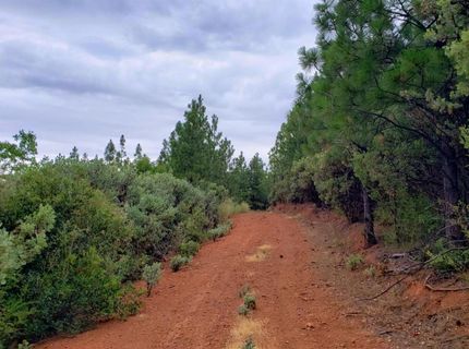 16397 Indiana Ranch Rd, Dobbins, CA 95935 Photo
