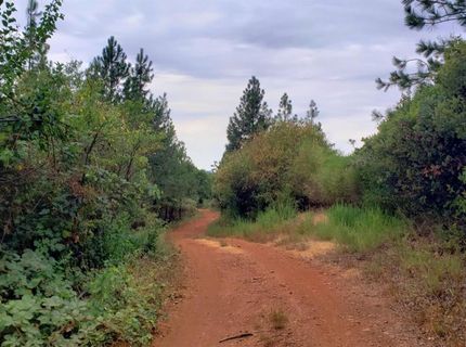 16397 Indiana Ranch Rd, Dobbins, CA 95935 Photo