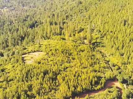 16397 Indiana Ranch Rd, Dobbins, CA 95935 Photo