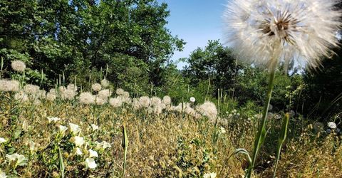 16397 Indiana Ranch Rd, Dobbins, CA 95935 Photo