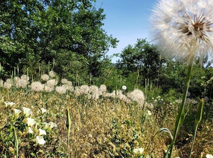 16397 Indiana Ranch Rd, Dobbins, CA 95935 Photo