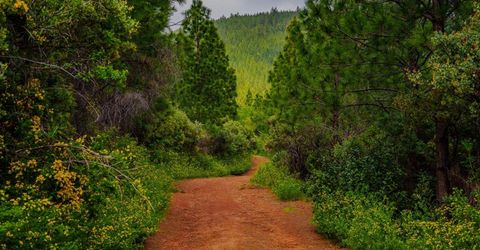 16397 Indiana Ranch Rd, Dobbins, CA 95935 Photo