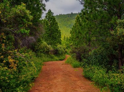 16397 Indiana Ranch Rd, Dobbins, CA 95935 Photo