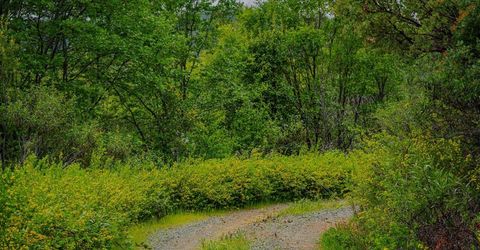 16397 Indiana Ranch Rd, Dobbins, CA 95935 Photo