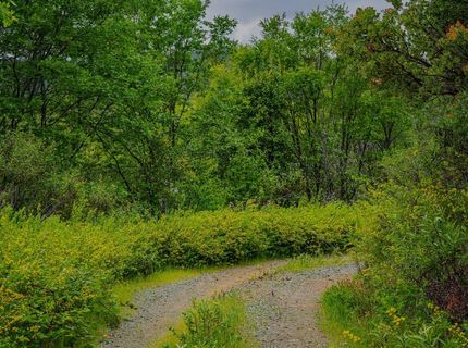 16397 Indiana Ranch Rd, Dobbins, CA 95935 Photo