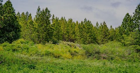 16397 Indiana Ranch Rd, Dobbins, CA 95935 Photo