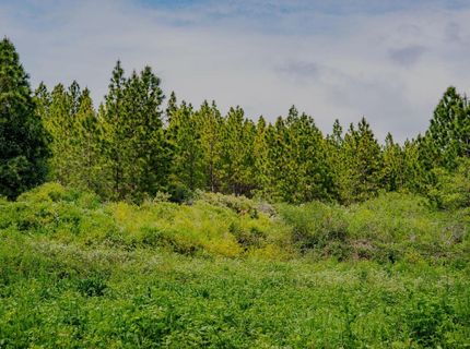 16397 Indiana Ranch Rd, Dobbins, CA 95935 Photo