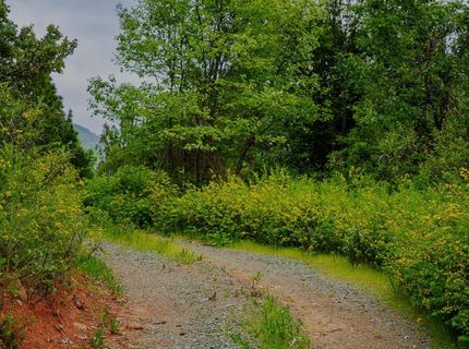 16397 Indiana Ranch Rd, Dobbins, CA 95935 Photo