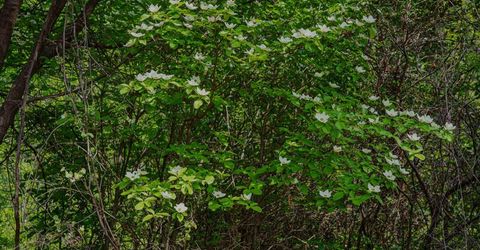 16397 Indiana Ranch Rd, Dobbins, CA 95935 Photo