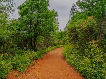 16397 Indiana Ranch Rd, Dobbins, CA 95935 Photo