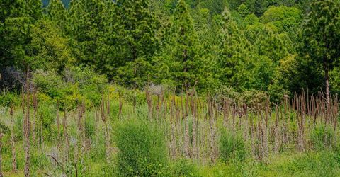 16397 Indiana Ranch Rd, Dobbins, CA 95935 Photo