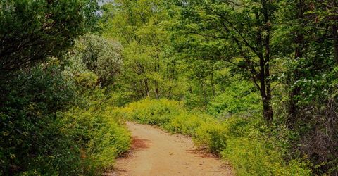 16397 Indiana Ranch Rd, Dobbins, CA 95935 Photo