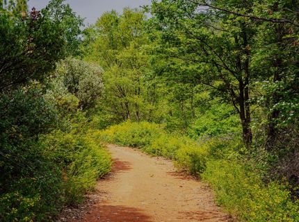 16397 Indiana Ranch Rd, Dobbins, CA 95935 Photo