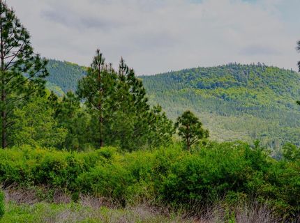 16397 Indiana Ranch Rd, Dobbins, CA 95935 Photo