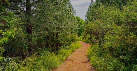 16397 Indiana Ranch Rd, Dobbins, CA 95935 Photo