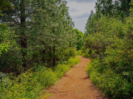 16397 Indiana Ranch Rd, Dobbins, CA 95935 Photo