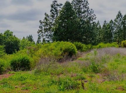 16397 Indiana Ranch Rd, Dobbins, CA 95935 Photo