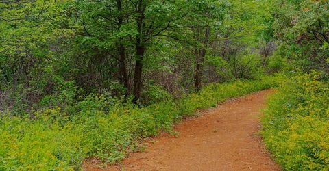 16397 Indiana Ranch Rd, Dobbins, CA 95935 Photo