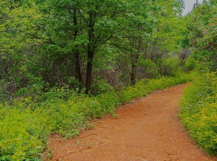 16397 Indiana Ranch Rd, Dobbins, CA 95935 Photo