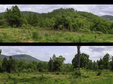 16397 Indiana Ranch Rd, Dobbins, CA 95935 Photo