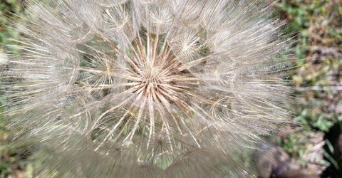 16397 Indiana Ranch Rd, Dobbins, CA 95935 Photo