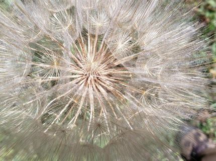 16397 Indiana Ranch Rd, Dobbins, CA 95935 Photo