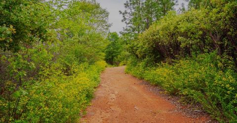 16397 Indiana Ranch Rd, Dobbins, CA 95935 Photo