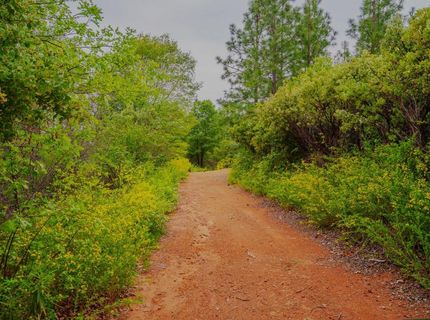 16397 Indiana Ranch Rd, Dobbins, CA 95935 Photo