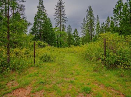 16397 Indiana Ranch Rd, Dobbins, CA 95935 Photo