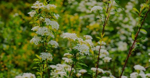 16397 Indiana Ranch Rd, Dobbins, CA 95935 Photo