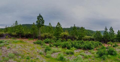 16397 Indiana Ranch Rd, Dobbins, CA 95935 Photo