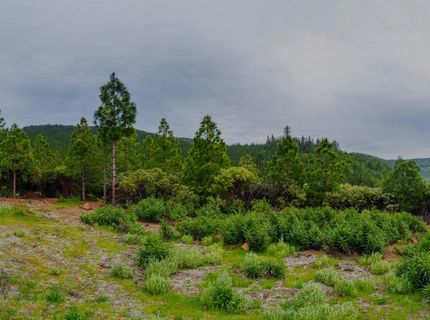 16397 Indiana Ranch Rd, Dobbins, CA 95935 Photo