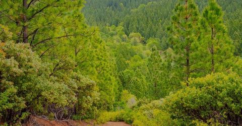 16397 Indiana Ranch Rd, Dobbins, CA 95935 Photo