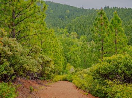 16397 Indiana Ranch Rd, Dobbins, CA 95935 Photo