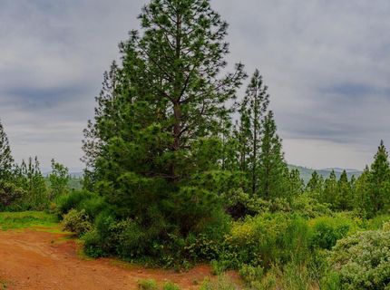 16397 Indiana Ranch Rd, Dobbins, CA 95935 Photo