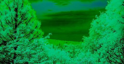 16397 Indiana Ranch Rd, Dobbins, CA 95935 Photo