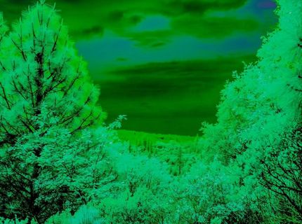 16397 Indiana Ranch Rd, Dobbins, CA 95935 Photo