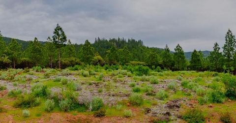 16397 Indiana Ranch Rd, Dobbins, CA 95935 Photo