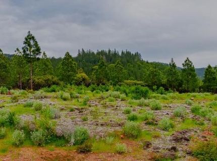 16397 Indiana Ranch Rd, Dobbins, CA 95935 Photo